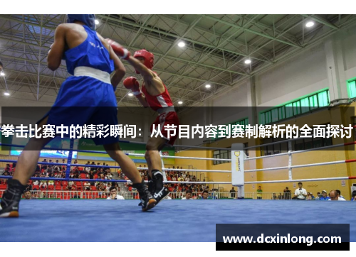 拳击比赛中的精彩瞬间：从节目内容到赛制解析的全面探讨