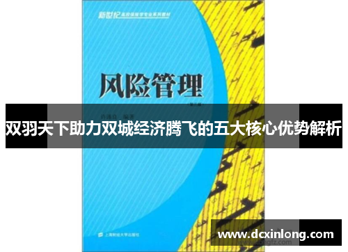 双羽天下助力双城经济腾飞的五大核心优势解析