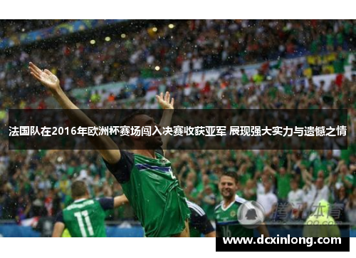 法国队在2016年欧洲杯赛场闯入决赛收获亚军 展现强大实力与遗憾之情