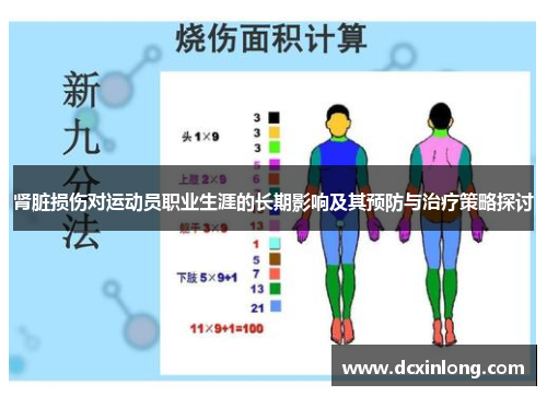 肾脏损伤对运动员职业生涯的长期影响及其预防与治疗策略探讨